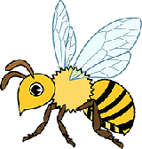 ���i�C���[�W