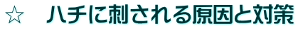 ☆　ハチに刺される原因と対策