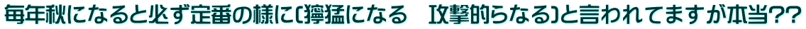 毎年秋になると必ず定番の様に(獰猛になる　攻撃的らなる)と言われてますが本当??